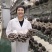 大量现货白灵菇、羊肚菌、草菇、鸡腿菇、平菇。各种成品菌棒