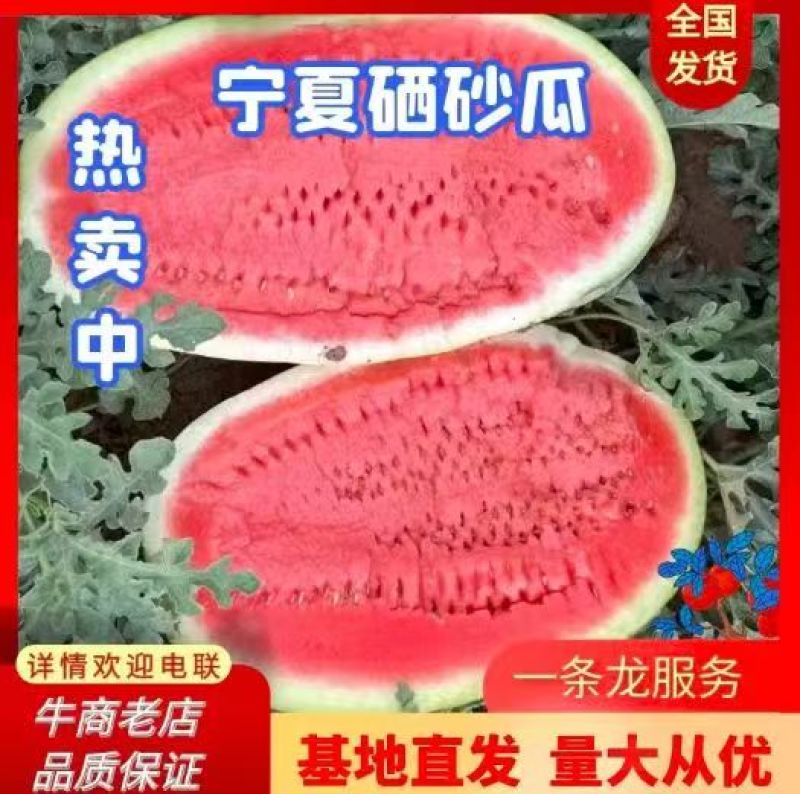 【产地直发】宁夏硒砂瓜大量供应包熟包甜大吨位发货