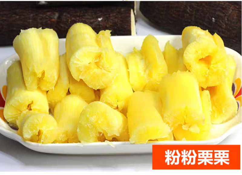 正宗“华南9号”黄金木薯，大基地种植，精品质量！