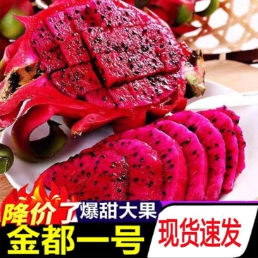 『精选』金都一号火龙果广西一手货源抖音快手淘宝一件代发