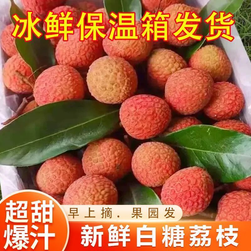 肉厚多汁】白糖罂荔枝香甜可口汁水丰富一手货源大量