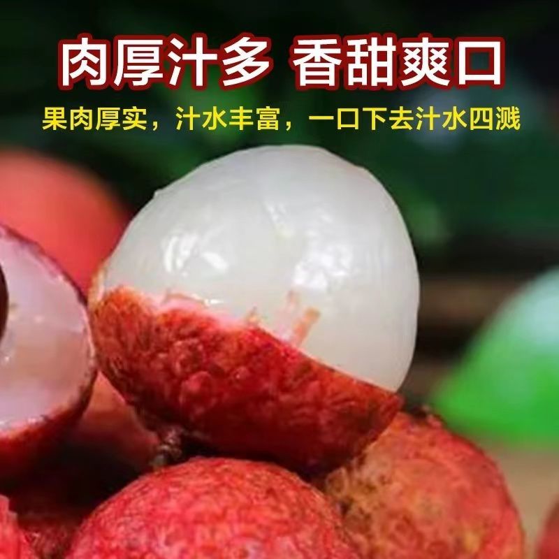 肉厚多汁】白糖罂荔枝香甜可口汁水丰富一手货源大量