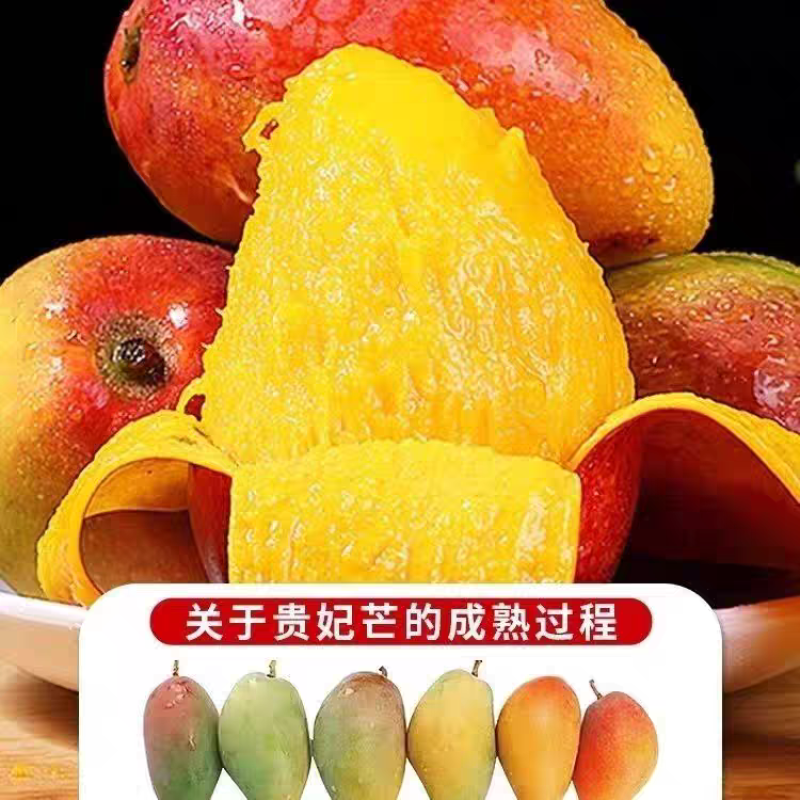 『实力』广西百色贵妃芒基地直发对接电商团购供应链一条龙