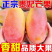 『实力』广西百色贵妃芒基地直发对接电商团购供应链一条龙