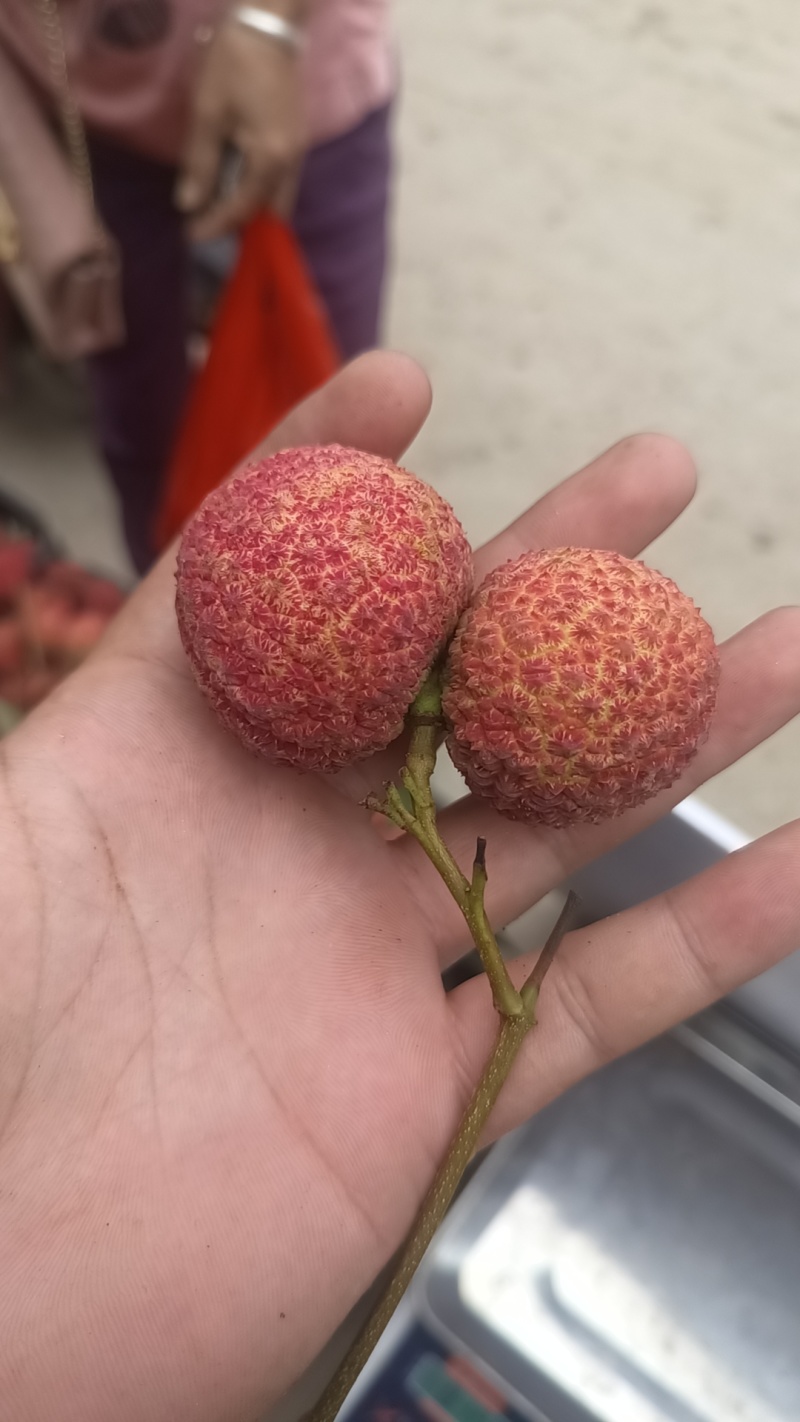 无核荔枝