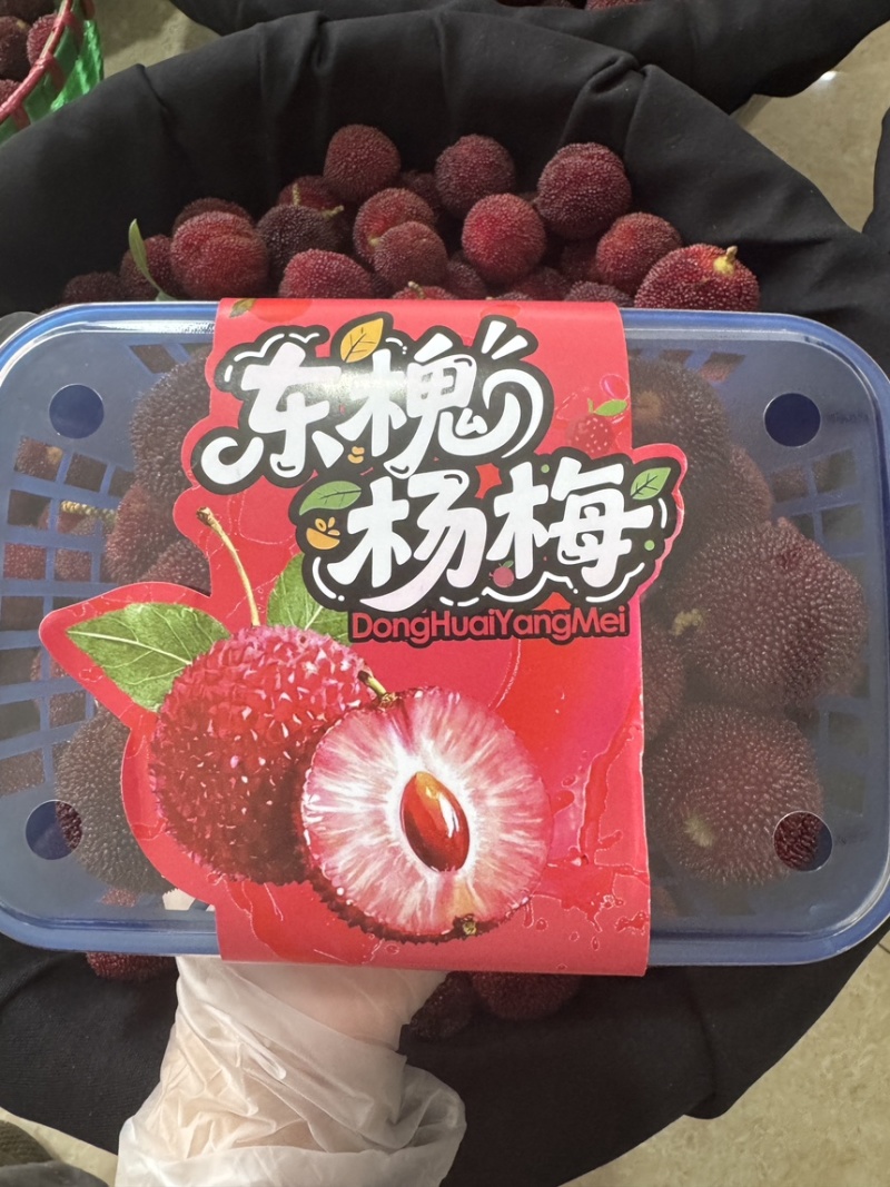 台州东槐杨梅/接团购批发/价格优惠/产地直发/货源充足