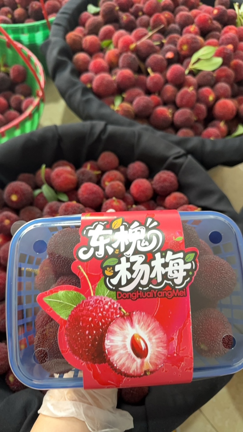 台州东槐杨梅/接团购批发/价格优惠/产地直发/货源充足
