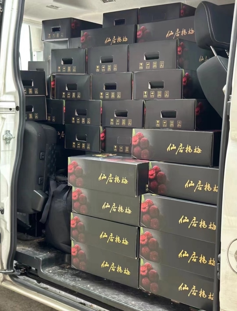 台州东槐杨梅/接团购批发/价格优惠/产地直发/货源充足