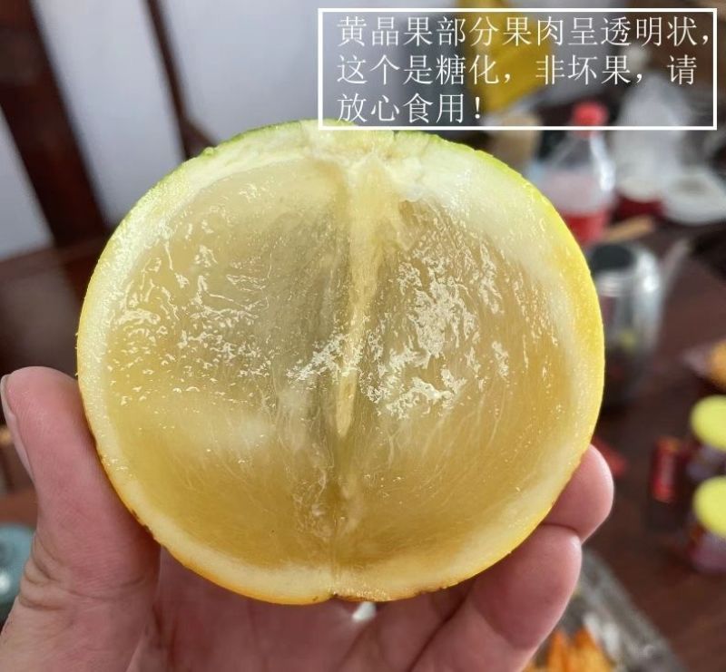 海南黄晶果批发全国发货