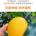 海南黄晶果批发全国发货