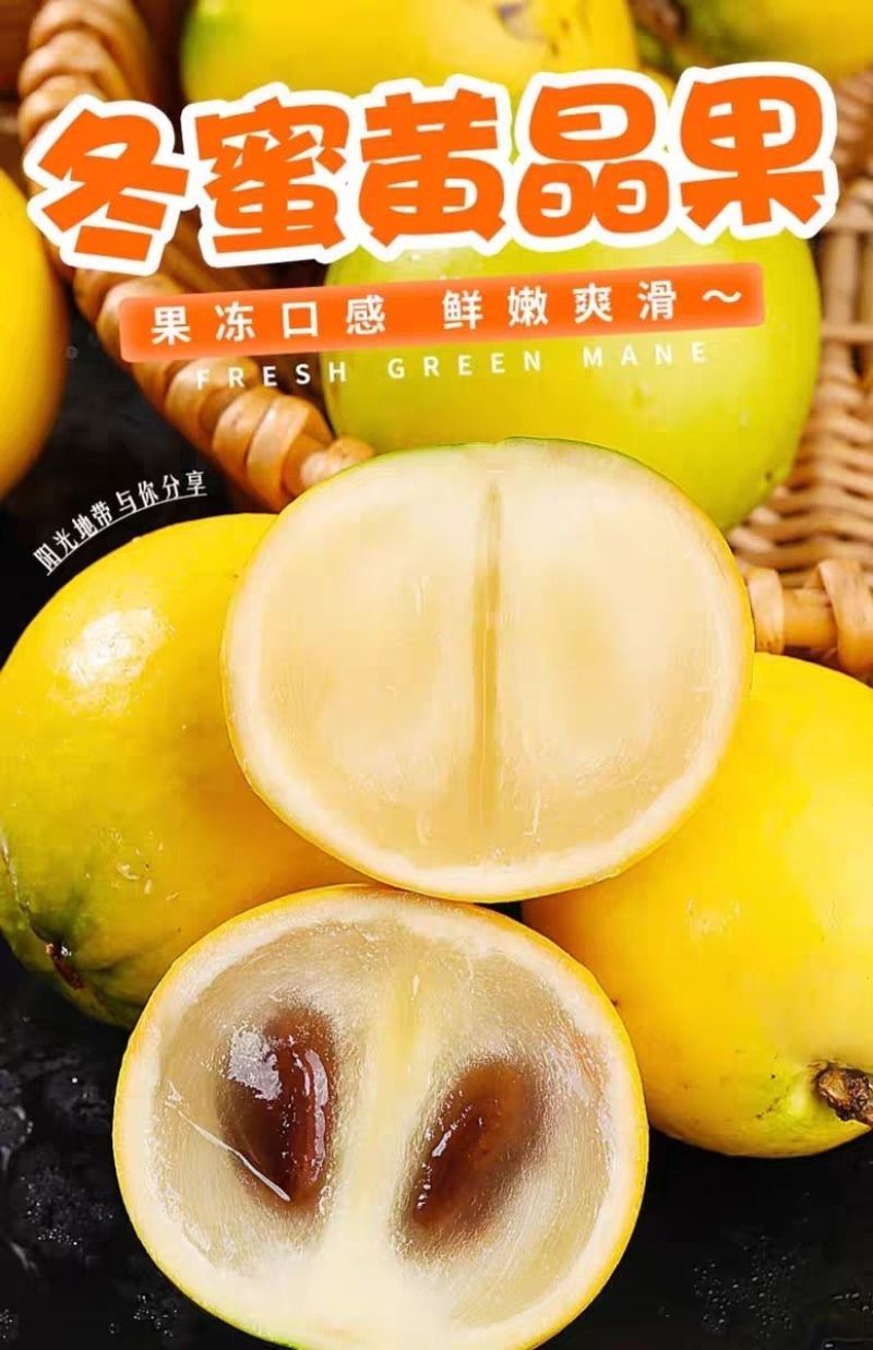 海南黄晶果批发全国发货