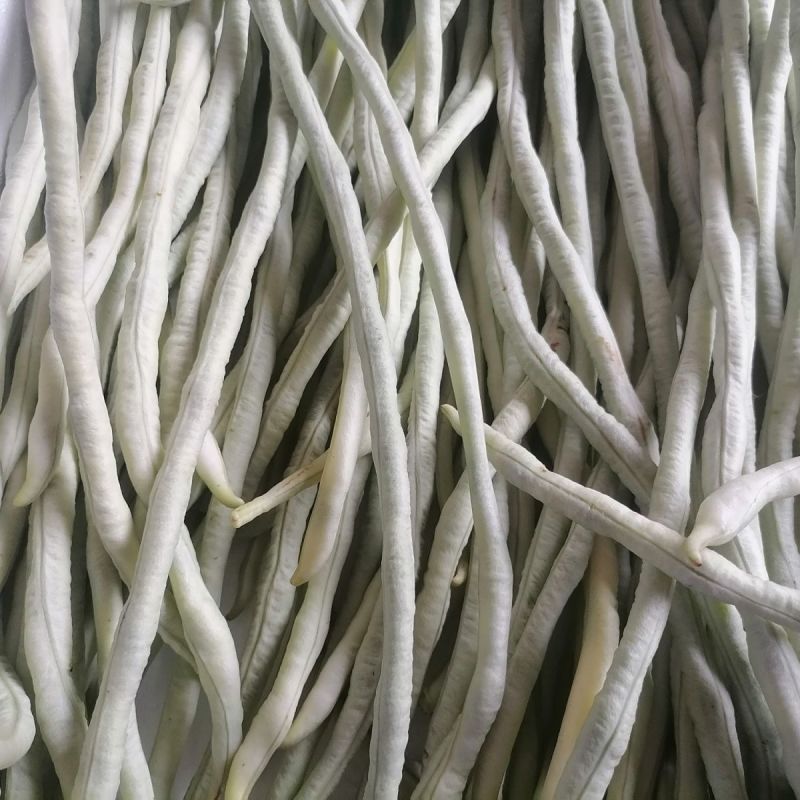 冠天下长白龙豇豆种子高产特长白条豆角种子早熟白玉豇豆种籽
