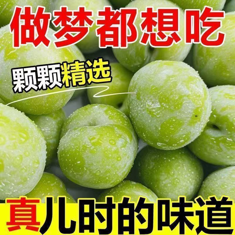 『推荐』四川青脆李基地直发保质保量现摘现发一条龙服务