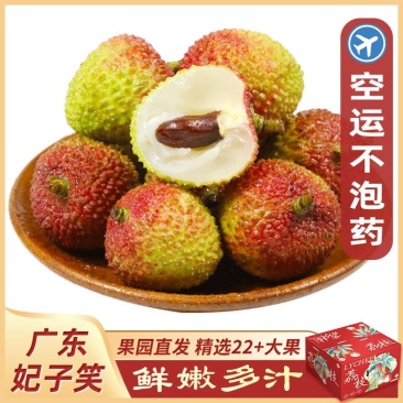 【空运特大果】正宗广东妃子笑荔枝当季新鲜水果精品礼盒现摘现发