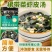 正宗裙带菜虾皮汤料包速食汤家用干货冲泡即食***免洗罐装组合