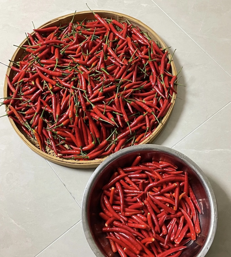 小米辣椒新鲜特辣红辣椒批发蔬菜现摘朝天椒指天椒农家自种货
