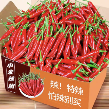 小米辣椒新鲜批发小米椒朝天椒特辣超辣薄皮土红辣椒指天椒