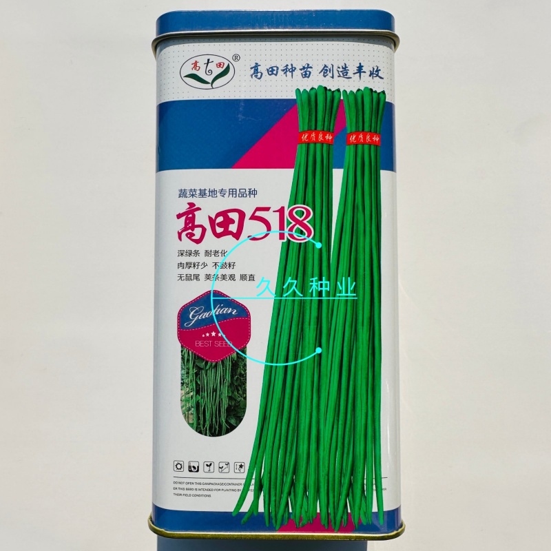 高田518豆角种子特长黑眉豇豆种子紫花超长豆角种籽深绿