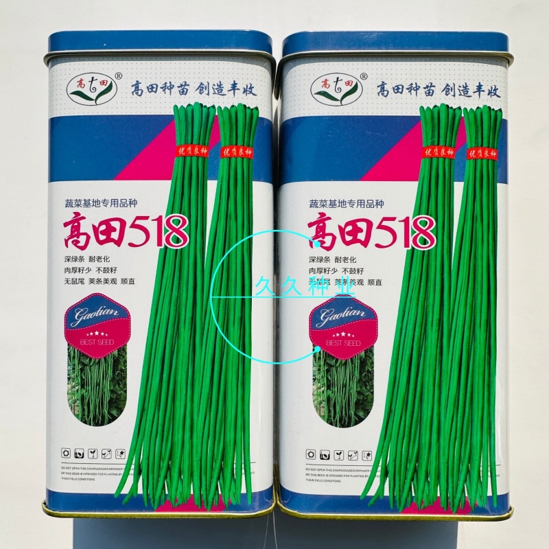 高田518豆角种子特长黑眉豇豆种子紫花超长豆角种籽深绿
