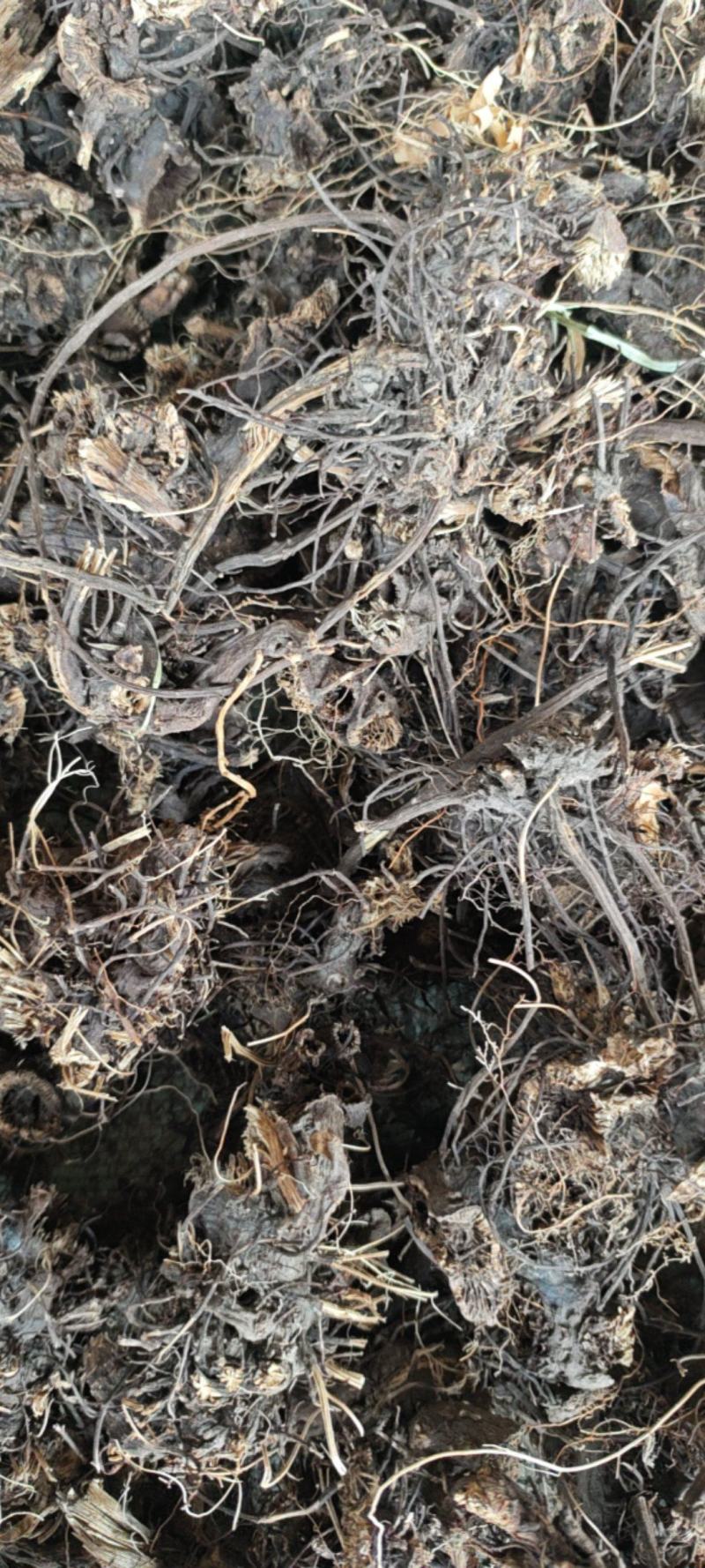 升麻新货整个的水洗毛货大量供应现货实拍量大