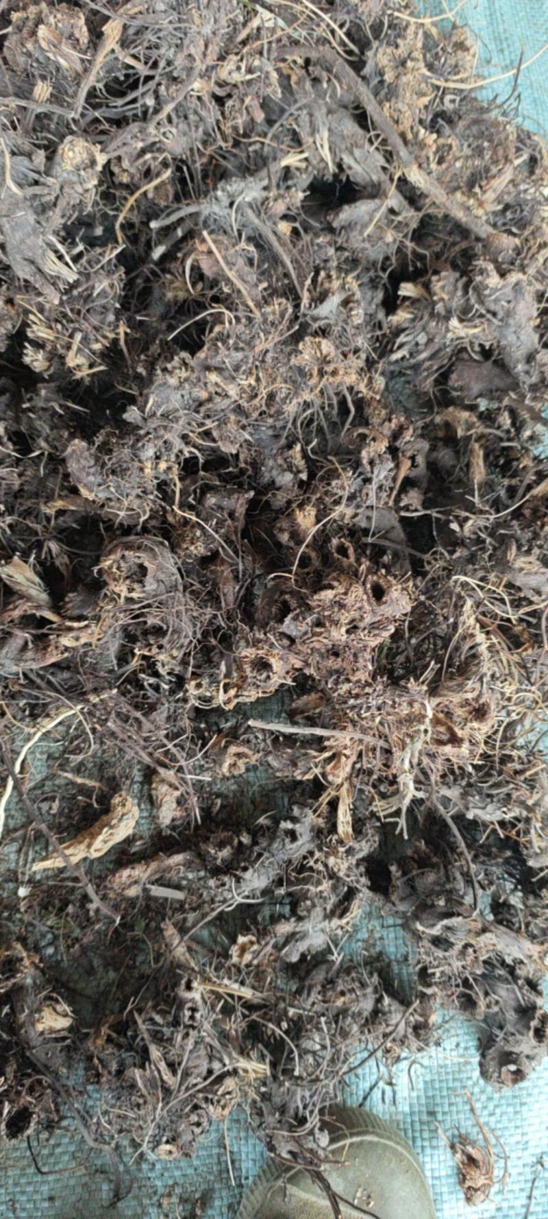 升麻新货整个的水洗毛货大量供应现货实拍量大