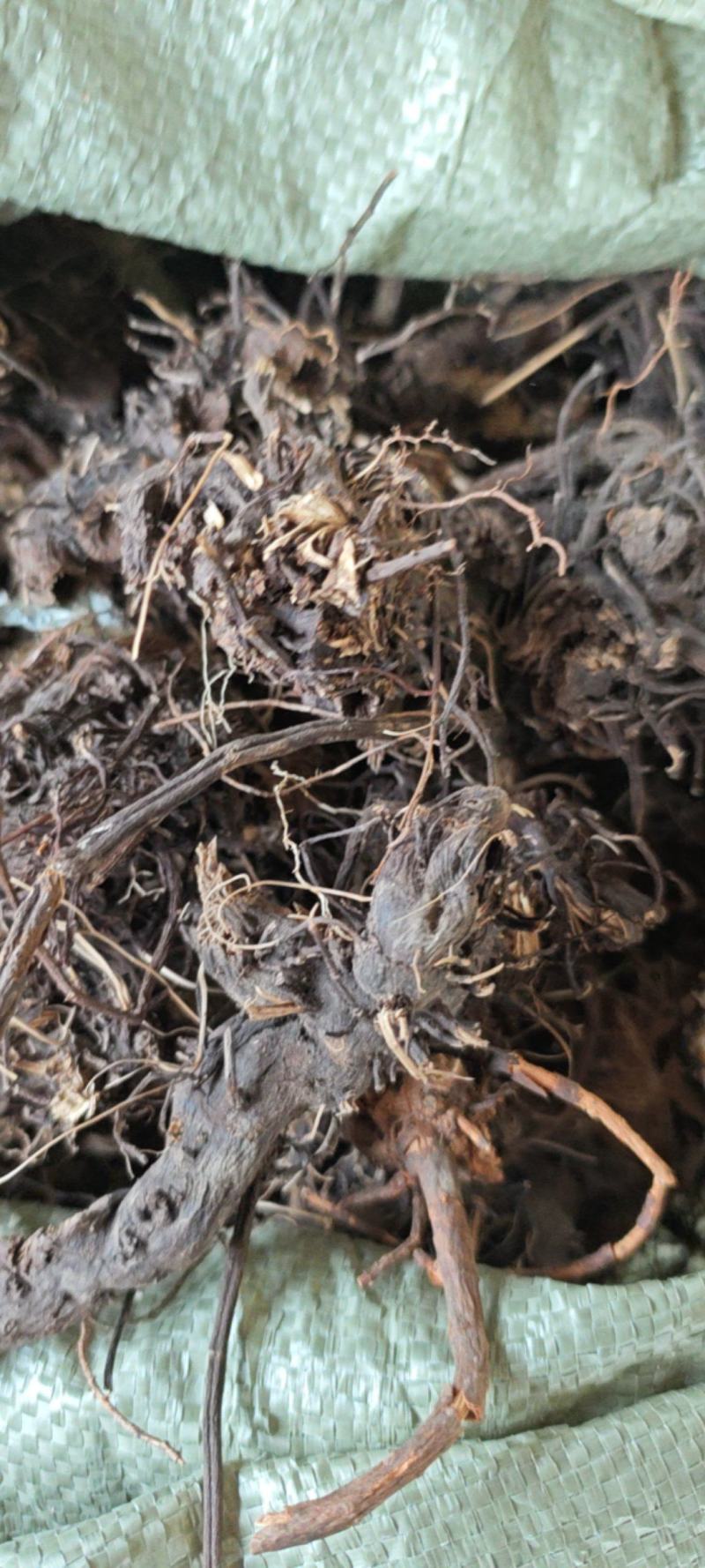 升麻新货整个的水洗毛货大量供应现货实拍量大