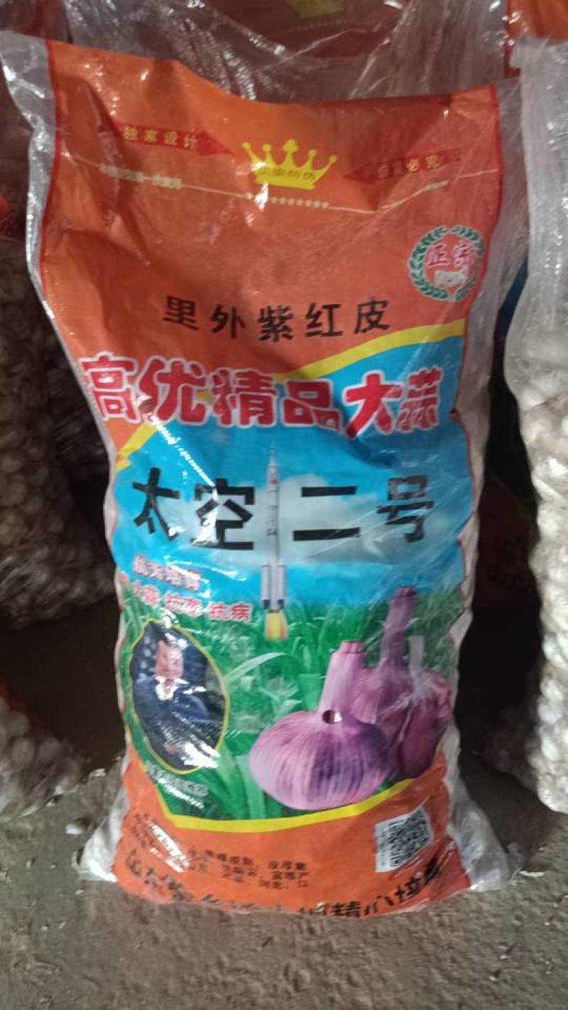金乡优质大蒜种子，高产耐病，适宜多地种植，助您丰收无忧！