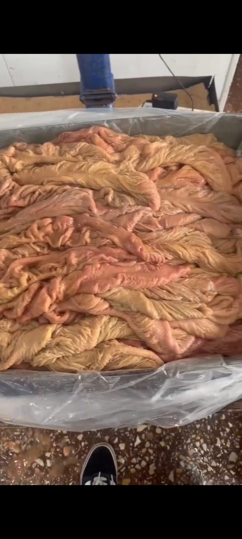 驴板肠