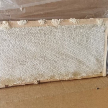 整张蜜脾大张新鲜封盖巢蜜直播供货可切割可摇蜜