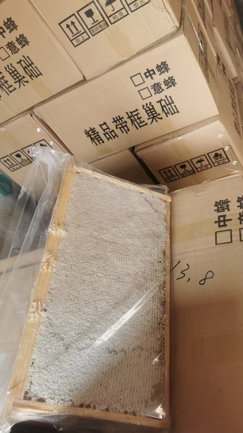 整张蜜脾大张新鲜封盖巢蜜直播供货可切割可摇蜜