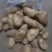 荷兰十五，沃土土豆大量现货供应