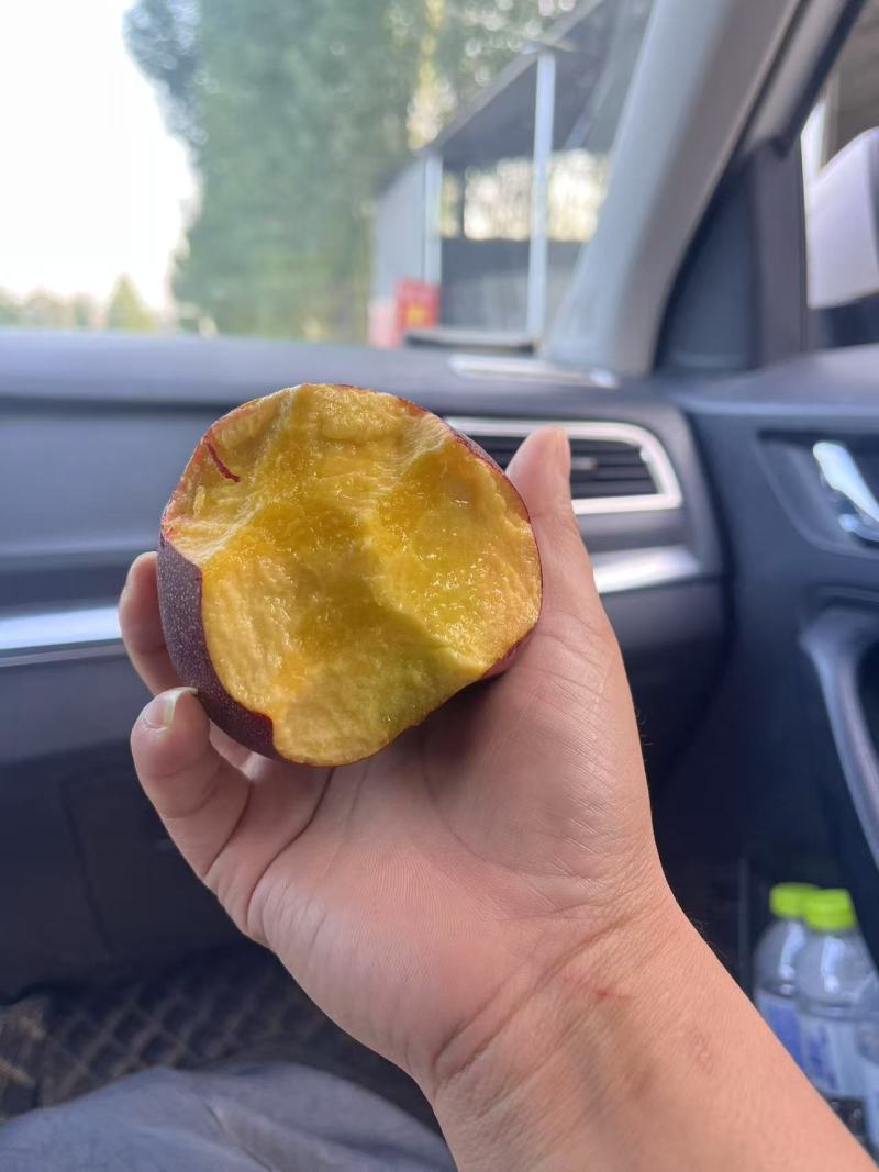 【实力】精品麻点油桃/山东9602麻点油桃/口感脆个头均