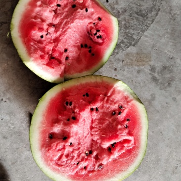 绵阳市江油梓潼县露天美都大量上市