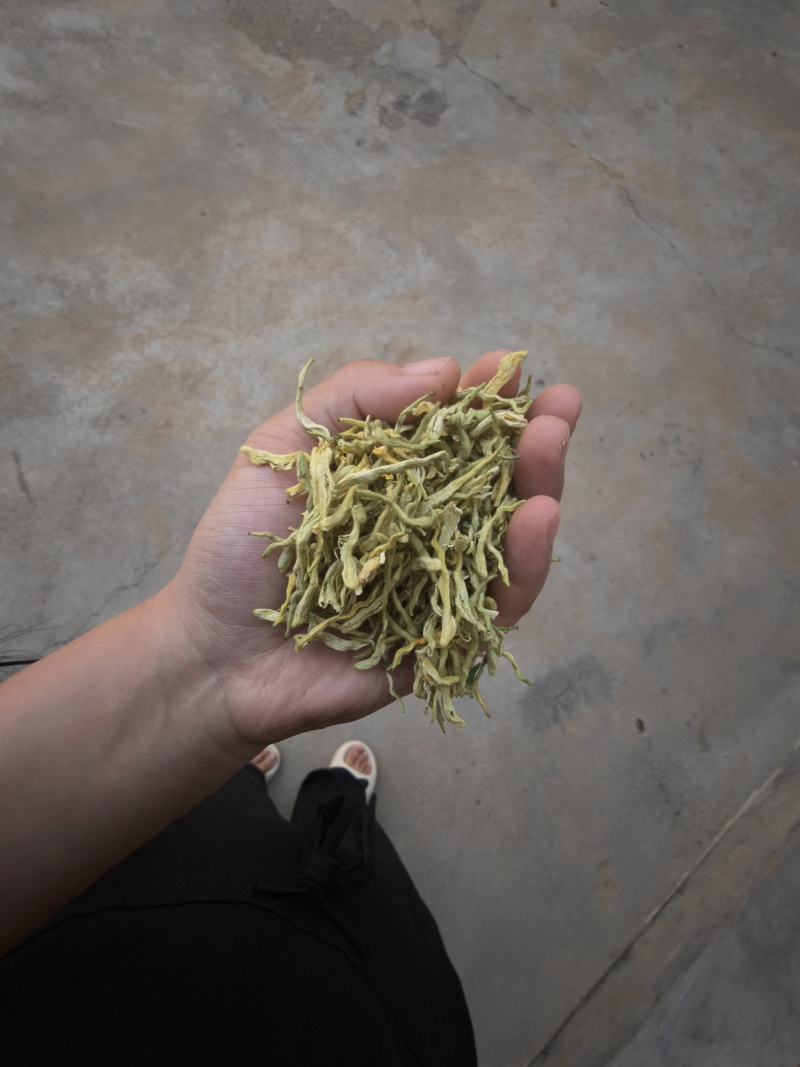 金银花
