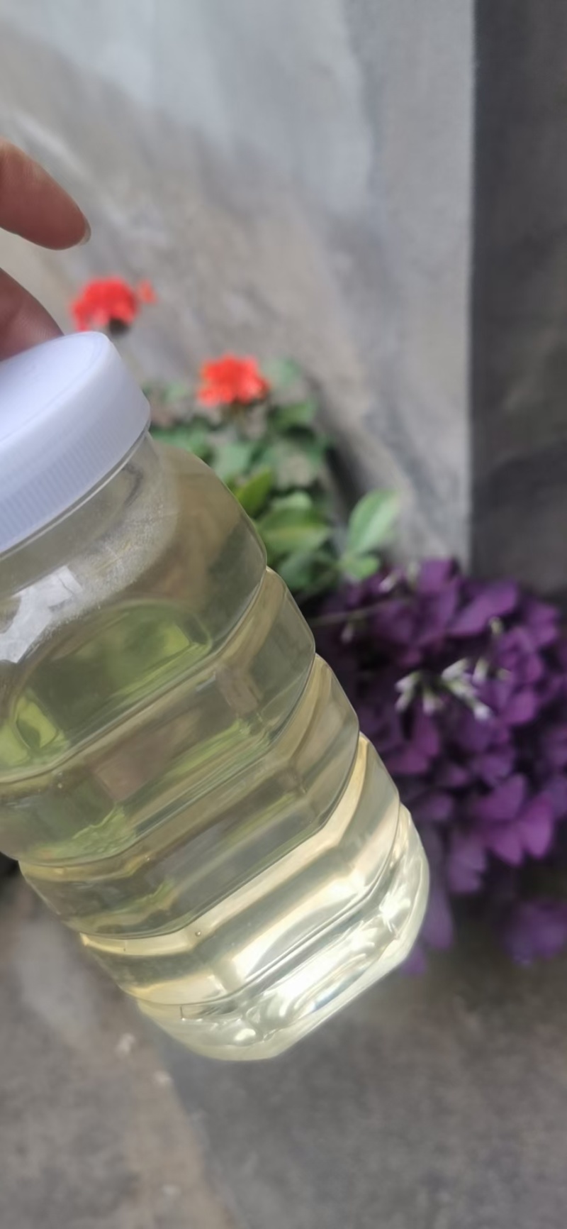 洋槐蜜天然原蜜蜂农自产纯正营养滋补槐花蜜