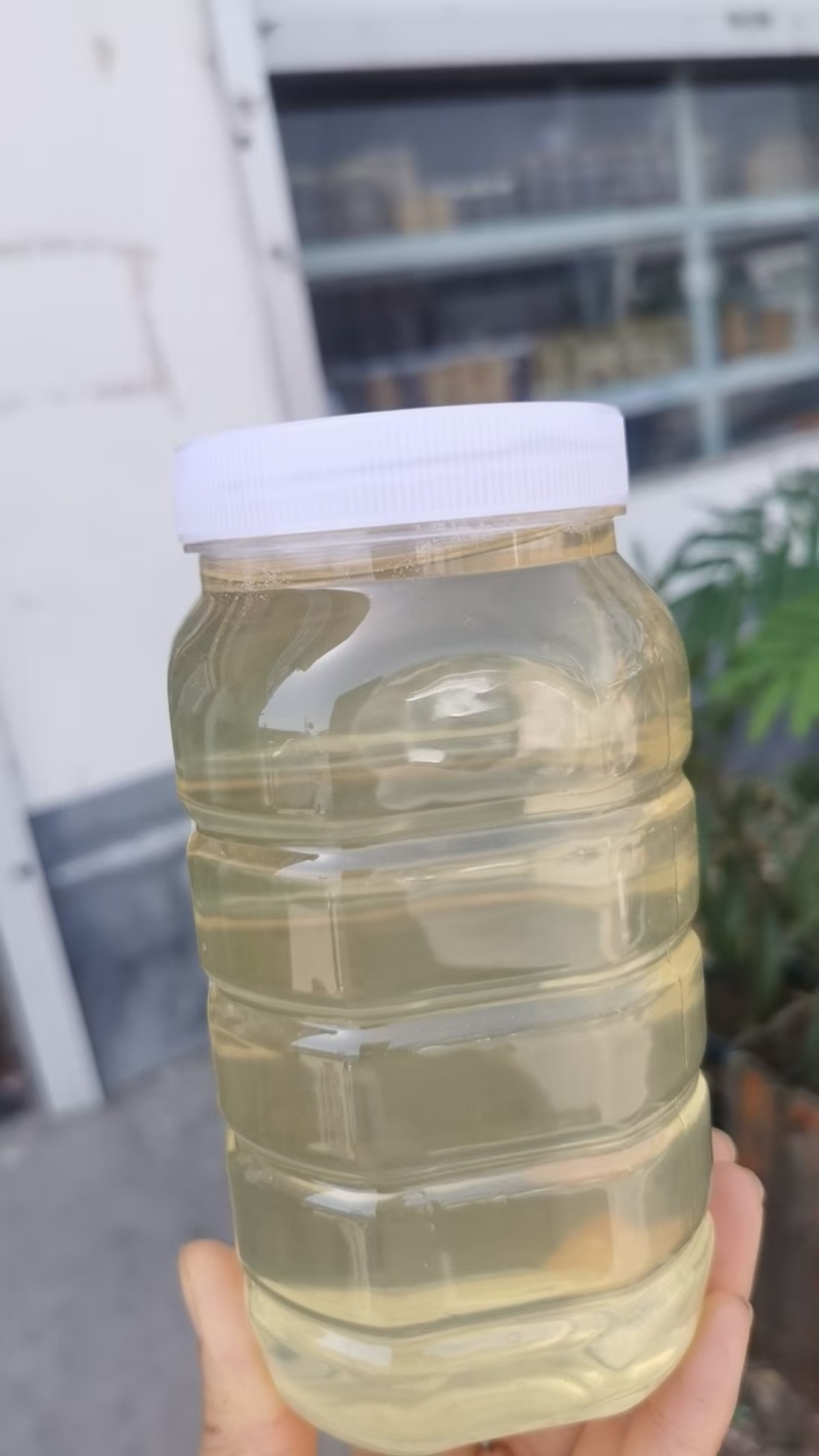 洋槐蜜天然原蜜蜂农自产纯正营养滋补槐花蜜