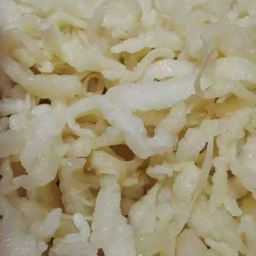 小龙胶