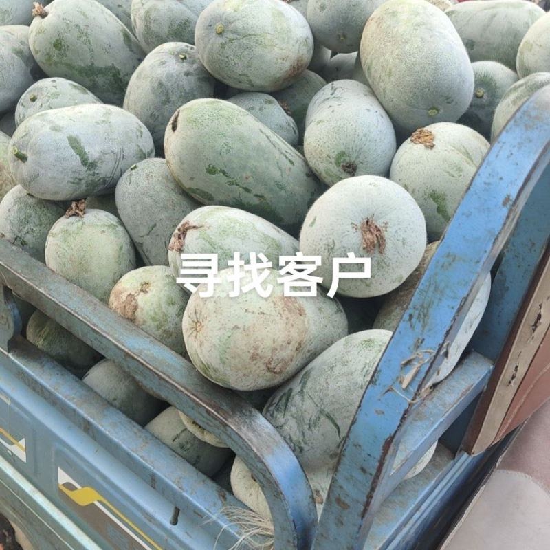 小冬瓜全国寻找客户