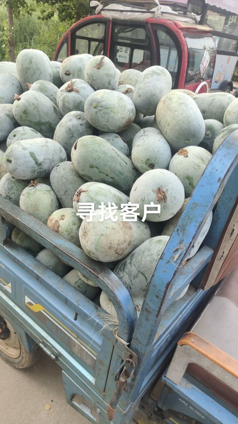 小冬瓜全国寻找客户