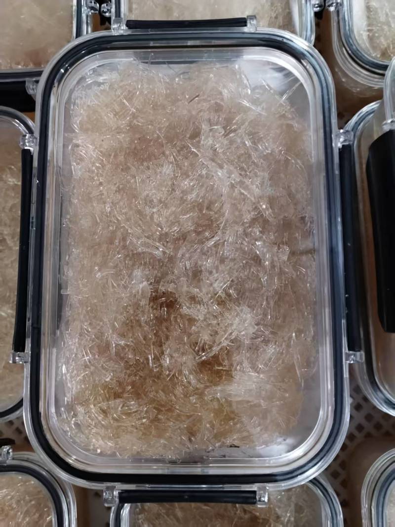 翅针