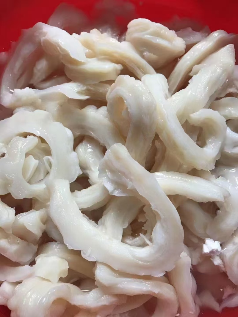 鲨鱼肚