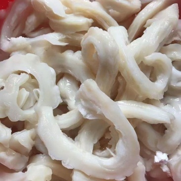 鲨鱼肚