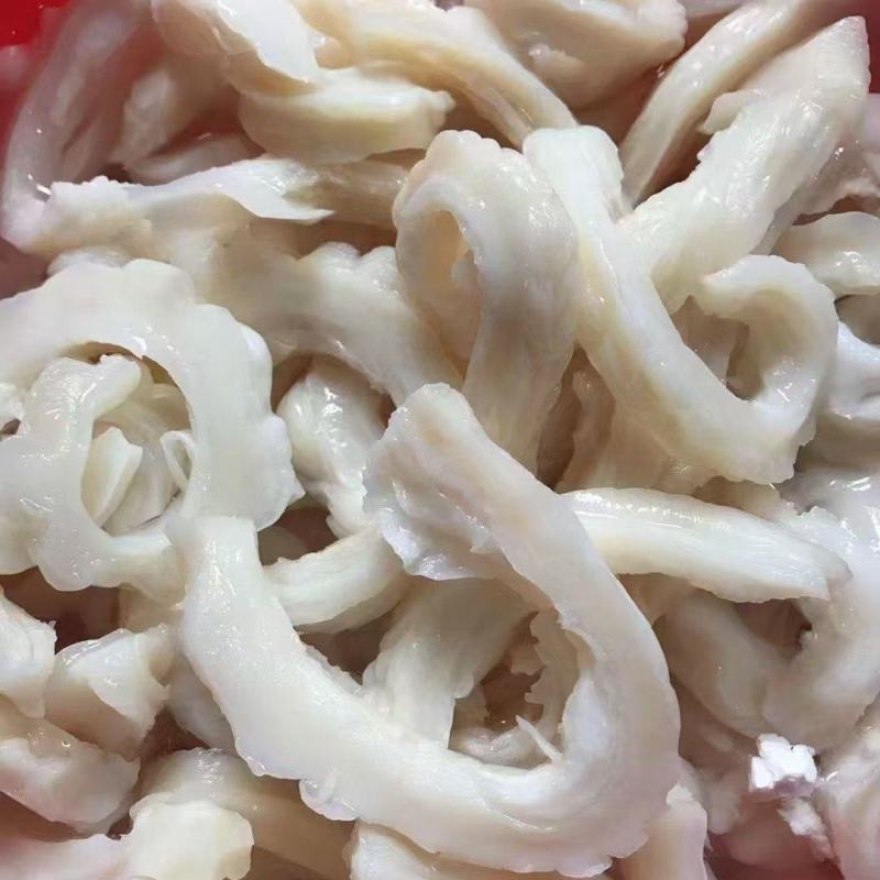 鲨鱼肚