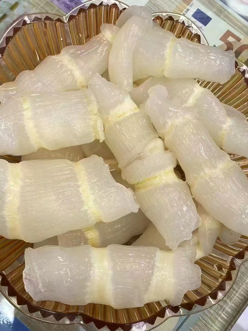 红鱼肚