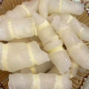 红鱼肚