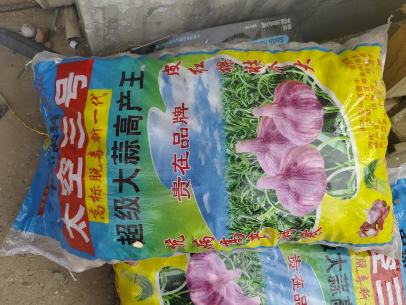 蒜种金乡纯太空蒜种菏蒜皮红瓣红个大