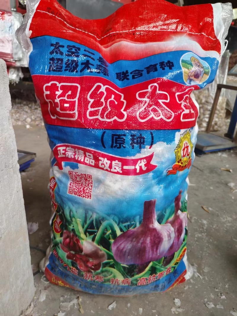 蒜种金乡纯太空蒜种菏蒜皮红瓣红个大