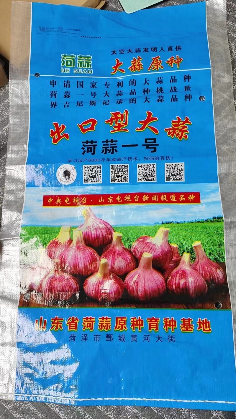 蒜种金乡纯太空蒜种菏蒜皮红瓣红个大