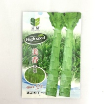 美香贡菜种子高温专用型新品种耐热耐湿贡菜优良品种绿皮绿心