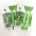 美香贡菜种子高温专用型新品种耐热耐湿贡菜优良品种绿皮绿心